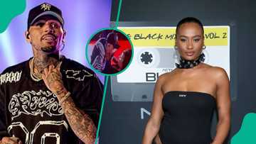 "Hand don touch am": Chris Brown deletes Instagram after viral controversial lap dance video