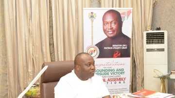 Nnamdi Kanu: Release of IPOB leader will end insecurity in southeast, says Ubah