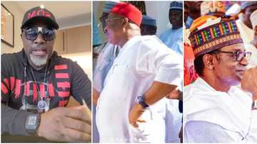 Dino Melaye, Hope Uzodinma and 2 other Nigerian politicians with expensive taste In wristwatches