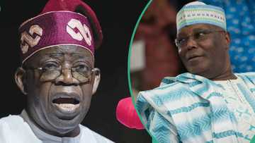 Tinubu: Why Supreme Court can’t admit Atiku’s Chicago State University ‘fresh evidence’