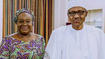 Civil servants are more corrupt than politicians, senators tell Buhari