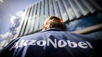 Dutch paint giant Akzonobel slashes 2,000 jobs worldwide