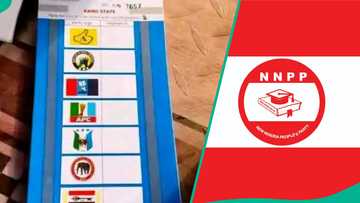 NNPP da manyan jam'iyyu 2 da ba a ga tambarinsu a takardar zaben cike gurbin Kano ba