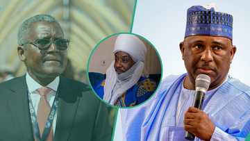 Sanusi II ya roki al'umma alfarma game da attajiran Kano, Dangote da BUA