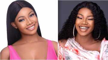 BBNaija Tacha gives her fan base a new slogan, says 'body odour gang'