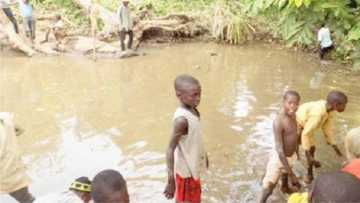 Gwakuru: Tafki mai abin al'ajabi da ke cike da kifayen da mutane basa iya ci a Kaduna