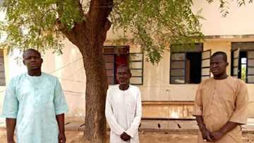 'A fusace na ke a lokacin' - Dattijon da aka kama saboda ya zagi Buhari ya yi bayani