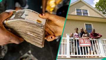 FMBN lists 10 reasons housing loan applications may be delayed or denied