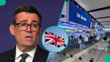 How to visit the UK without a visa, application process, cost explained