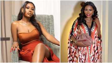 “She deserves to be happy”: Sophia Momodu’s fans make plans to surprise her on birthday in June, she reacts
