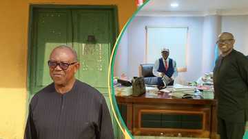 Dele Farotimi: Peter Obi visits Afe Babalola In Ekiti, Details Emerge