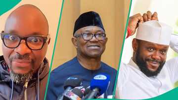 Isaac Fayose blows hot, lambastes Obidients for dragging him over meeting with Seyi Tinubu