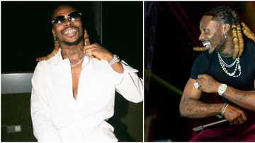 Mr Money with the Vibe: 6 Reasons why Asake's songs are making headway