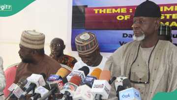 Food security: Tinubu’s minister hailed for agricultural sector reform