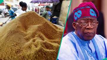 Garri price crashes by N1,800 as FG inches closer to 2025 inflation target