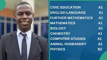 WAEC result of boy trends online as he gets A1 in 8 subjects including further mathematics