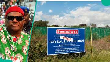 Abuja vs Lagos land prices: Where Nigerians can still buy plots from N3.5 million