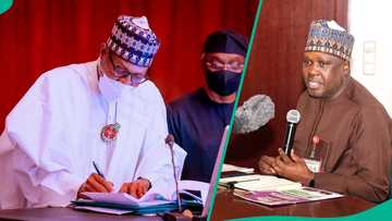 Bayan shekara 1 da rasuwarsa, hadimin Tinubu ya tuna wata matsala da aka samu a mulkin Buhari