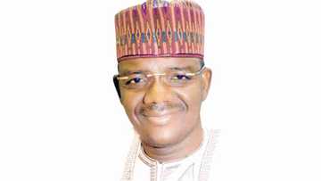 Farawa da iyawa: Sabon gwamnan jihar Zamfara zai mayar da ma'aikata 1,400 da aka kora bakin aikinsu