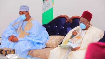 Rashin Tsaro: Dalilin da ya sa babu wanda zai tsira a Najeriya - Shehun Borno