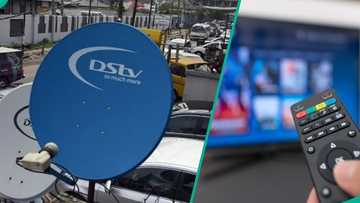 MultiChoice launches new campaign for DStv subscribers to watch over 160 channels for free