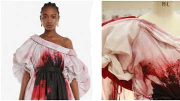 No, thanks: Mixed reactions trail Alexander Mcqueen N2.6m 'bloody' dress