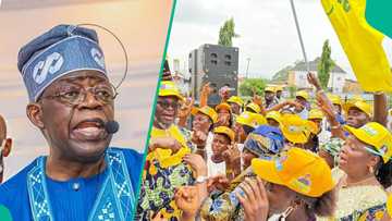 Breaking: Accord Party breaks silence over endorsing Tinubu ahead of 2027 election