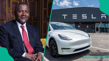 Billionaire Aliko Dangote narrates surprising Tesla Uber ride experience