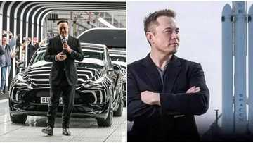 Dancing to bank: Tesla boss, Elon Musk performs billionaire dance moves, shows amazing steps in stunning video