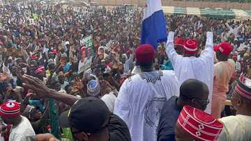 ‘Dan takaran PDP a 2015 da 2019, tsofaffin kusoshin APC za su yi wa NNPP takarar Gwamna