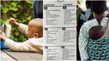 "Imagine going through this": Mum cries out, shares school menu that made son stop eating her food