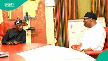 Tinubu, Fubara endorsed for 2nd term ahead of 2027 elections