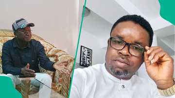 Ex-Benue governor Ortom slammed over anti-grazing comment as analyst tasks him to value honesty