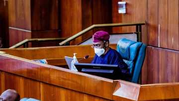 Kungiyar NUJ za ta karrama Kyari, Gbajabiamila, Sanatan Kano da wasu fitattu a bana