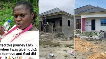 Proprietress who was served quit notice erects fine school in 4 months, video inspires many
