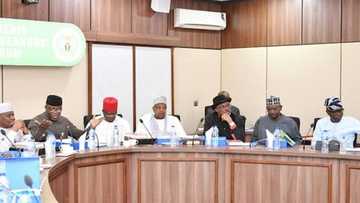 Gwamnonin Arewa sun taya Bola Tinubu murnar cika shekara 69