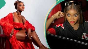 Doyin begs Beauty for forgiveness, fans react: “You too dey talk sef”