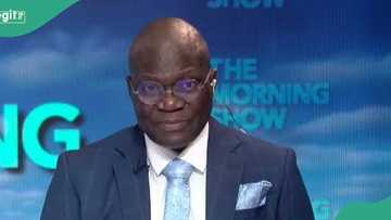 Olayinka posts past clip of Abati’s furious response to colleague on live TV, blasts Arise News' host