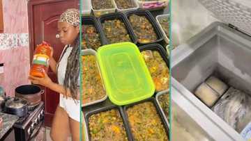 "I cook once for the month": Newly married wife stocks up freezer with assorted foods, video trends