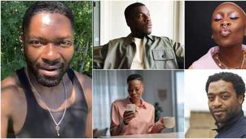 David Oyelowo, Cynthia Erivo, 3 other popular Hollywood stars with Nigerian roots