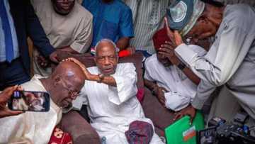 Afenifere leader drops weighty message for Tinubu, appeals to Atiku, Obi, other politicians