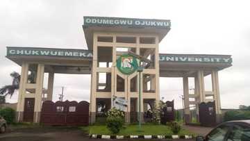 Odumegwu Ojukwu University promotes 18 to professorship rank, full list emerges