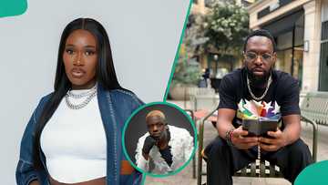 Timaya vs Warri Pikin: Comedian Akpororo speaks on viral dance moment at singer’s concert