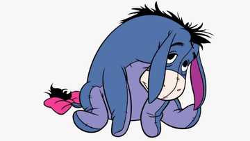 Top Eeyore quotes from Winnie the Pooh