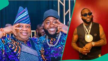 Davido, fan drag each other over Governor Adeleke, singer's clapback trends