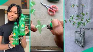 Talented girl displays fine flower vase made from waste plastic bottles, photos go viral