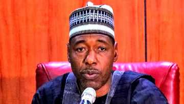 Zulum Ya Ce Ya Kamata Mulkin Nigeria Ya Koma Kudu a 2023