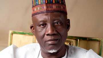 Rashin Tsaro: Abin Da Yasa Ƴan Najeriya Ba Za Su Iya Mallakar Makamai Ba, Ministan Ƴan Sanda