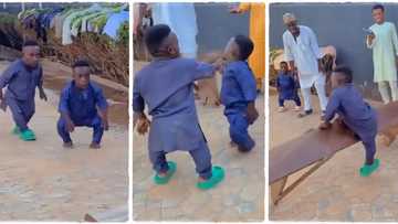 "He has courage": Confident dwarfs fall after trying to jump over small bench, video goes viral