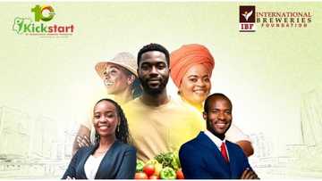 International Breweries Plc opens call for 2025 Kickstart applications to empower young Nigerians